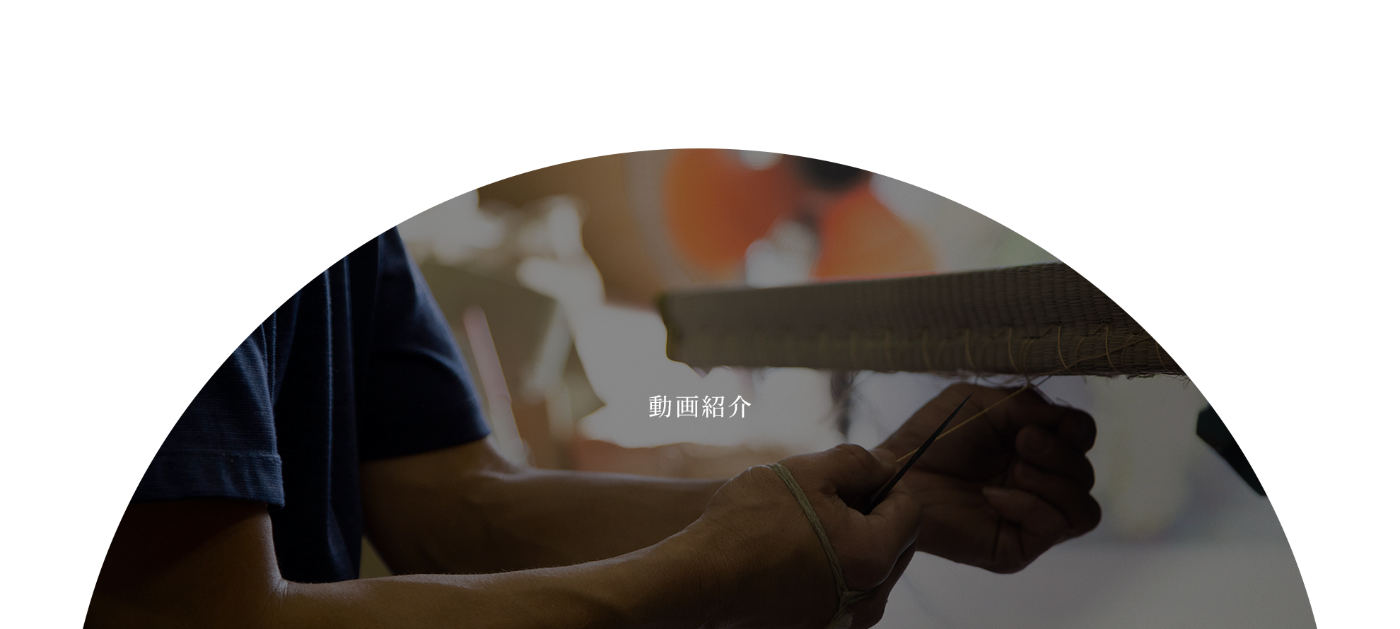 動画紹介